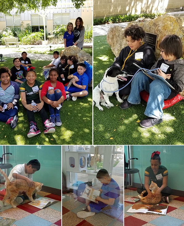 Glenoak Elementary school reading program web