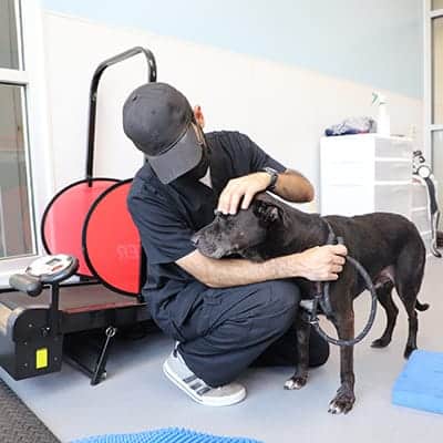 vet tech assistant with dog