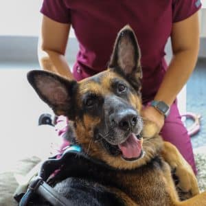 Queen's Royal Rehab Treatment