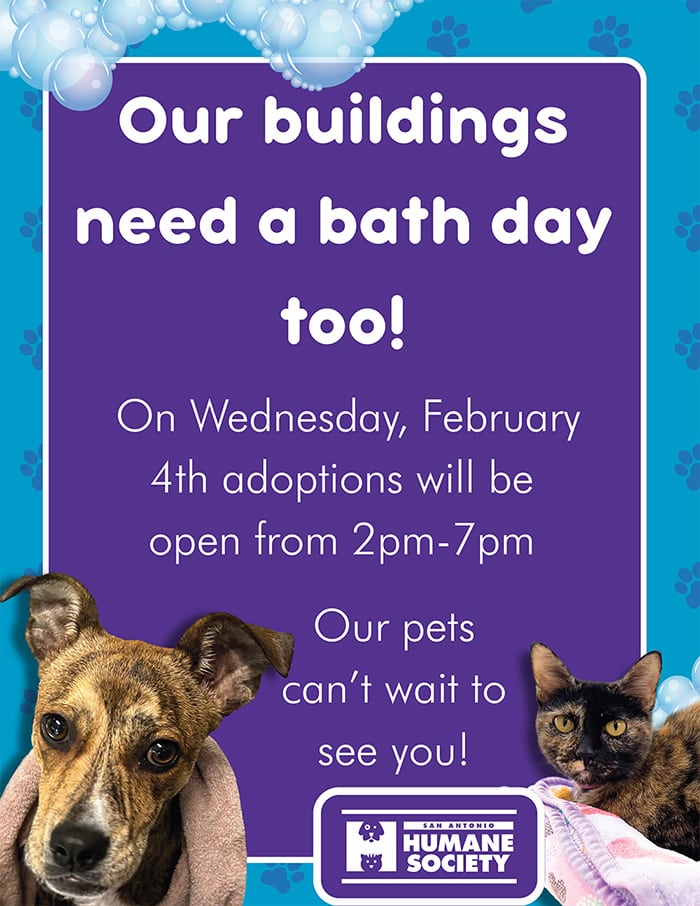 Updated SAHS adoption hours