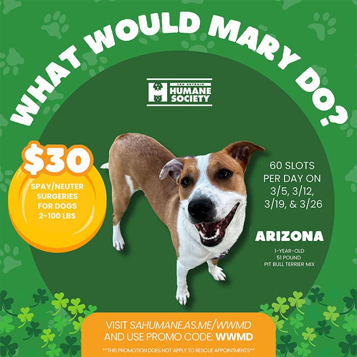 What Would Mary Do? spay/neuter special for March 2026
