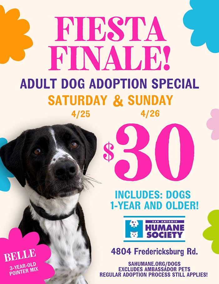 Adult dog adoption special April 25-26 at the SAHS