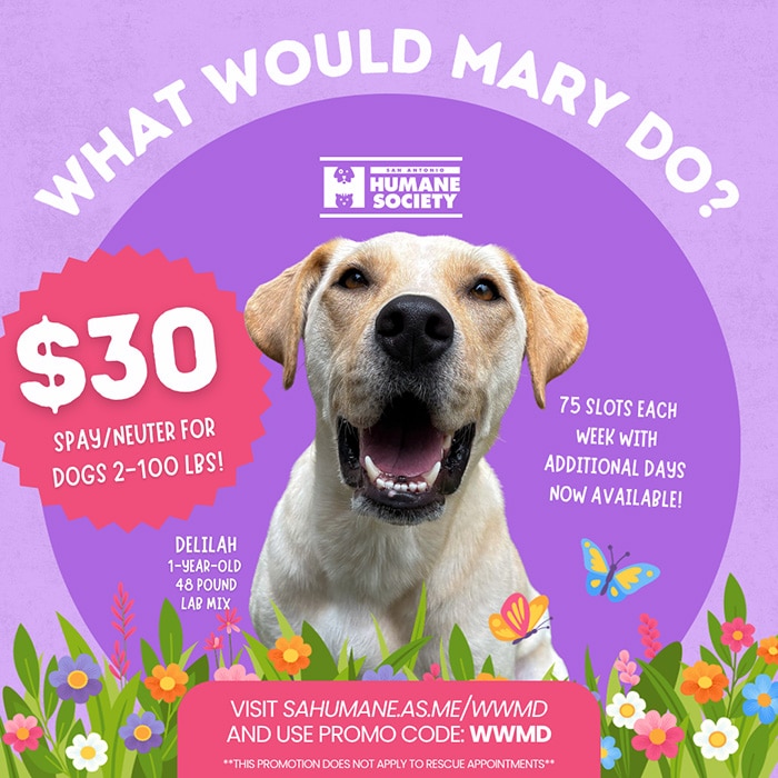 What Would Mary Do? Spay/Neuter special for June at the SAHS